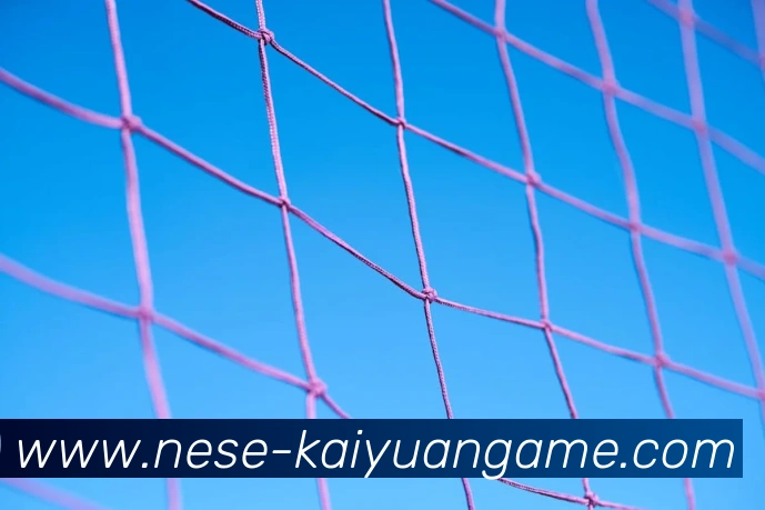 开元棋牌官网全站App